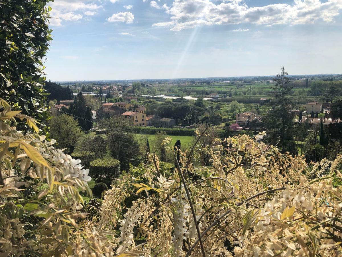 Villa Alta - Residenza D'Epoca Con Piscina San Giuliano Terme Exteriör bild